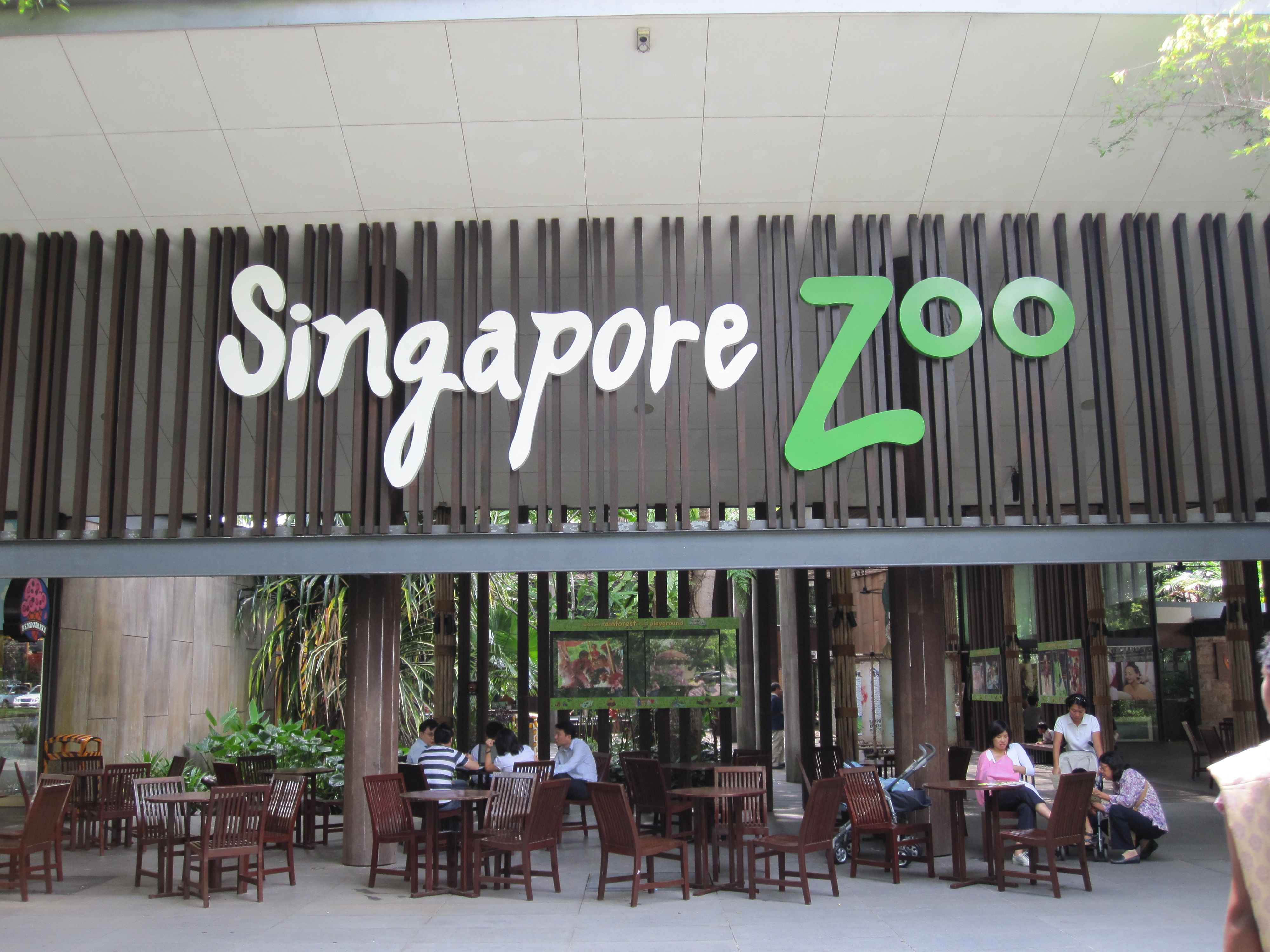 Singapore Zoo - Lions & Tiger & Baboons? | Southeast Asia