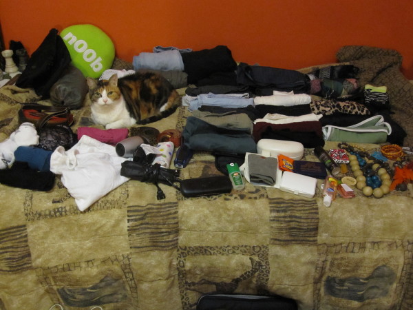 Packing Cat