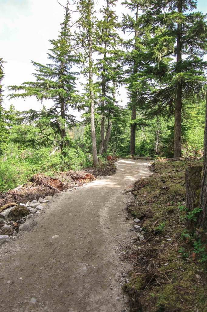 Trails- Sea-to-Sky Gondola, Squamish BC