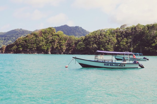 Blue Waters Diven- Speyside Tobago