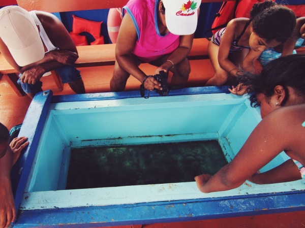 Glass Bottom Boat, Buccoo Reef | Tobago