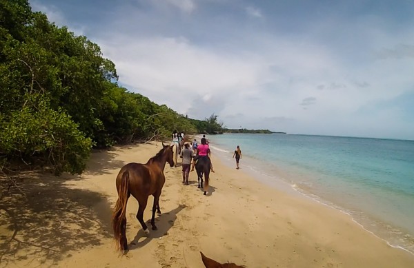 Healing with Horses, Tobago