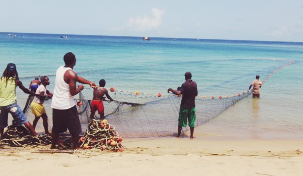 Seine Nets - Castara, Tobago